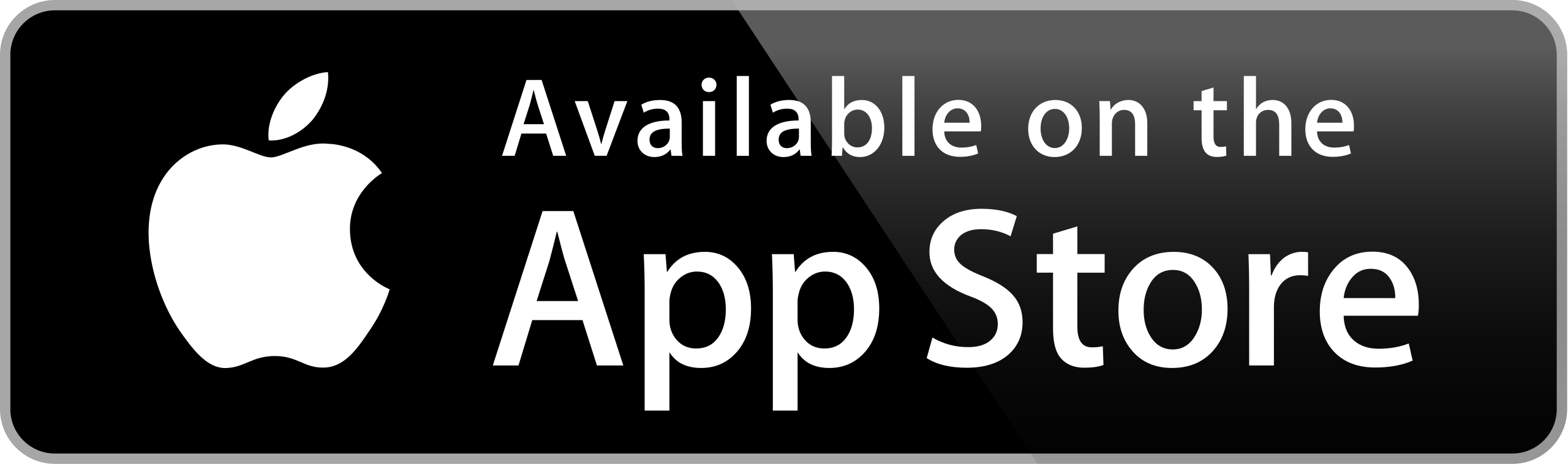 Apple Store Icon