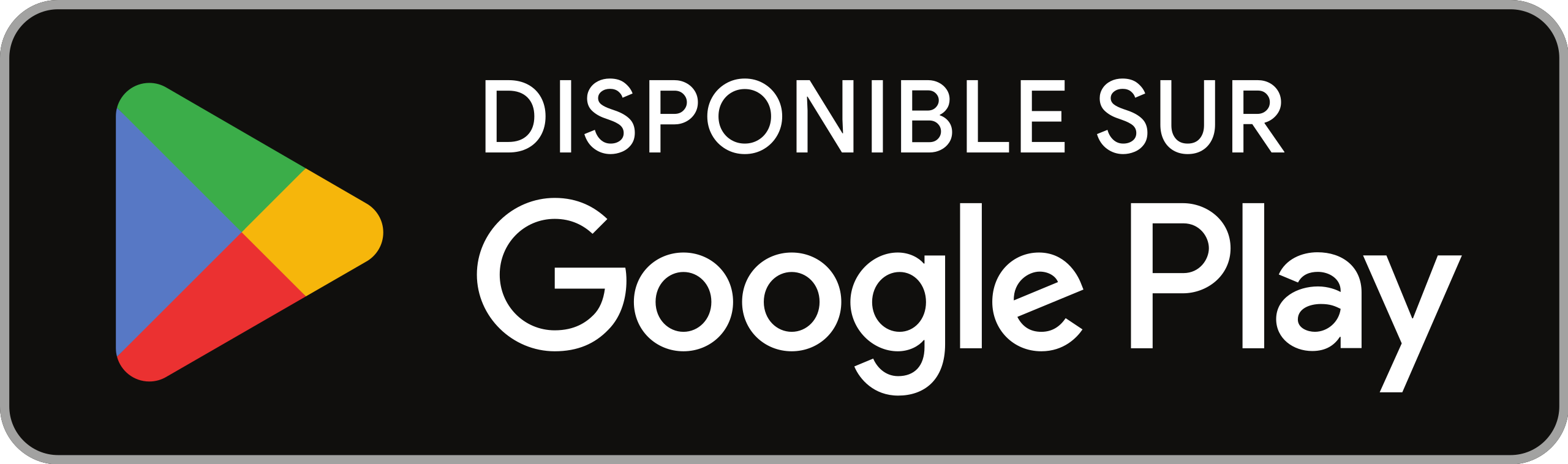 Google Play Store Icon